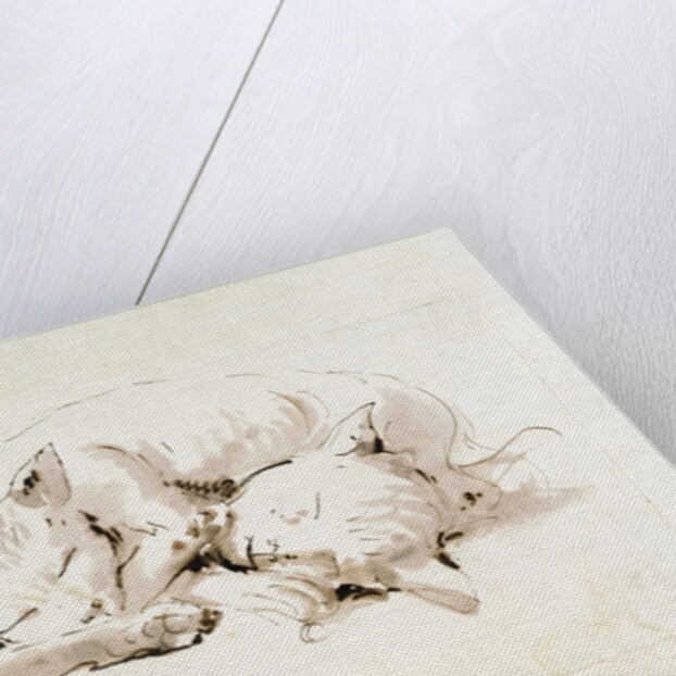 Two cats by Giovanni Battista Tiepolo