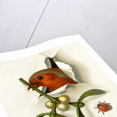 Christmas Card by Anonymous