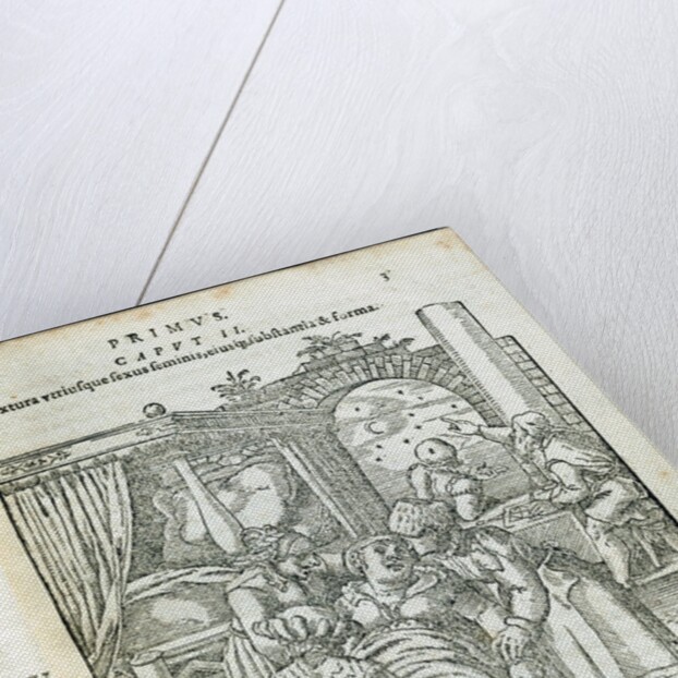 The birthing chamber by Jacobus Rueff