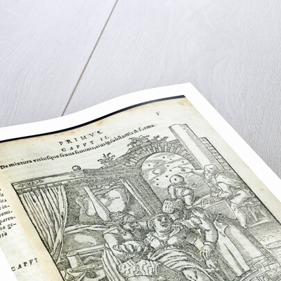 The birthing chamber by Jacobus Rueff