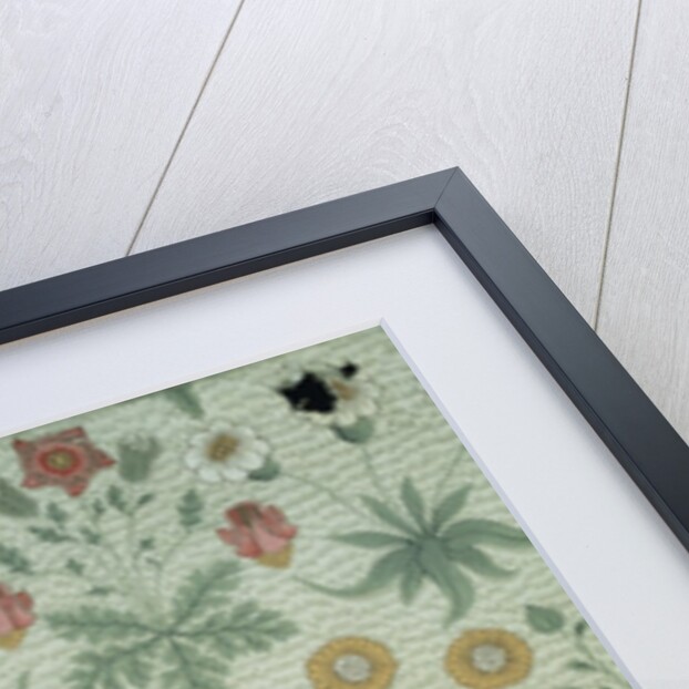 Daisy design by William Morris