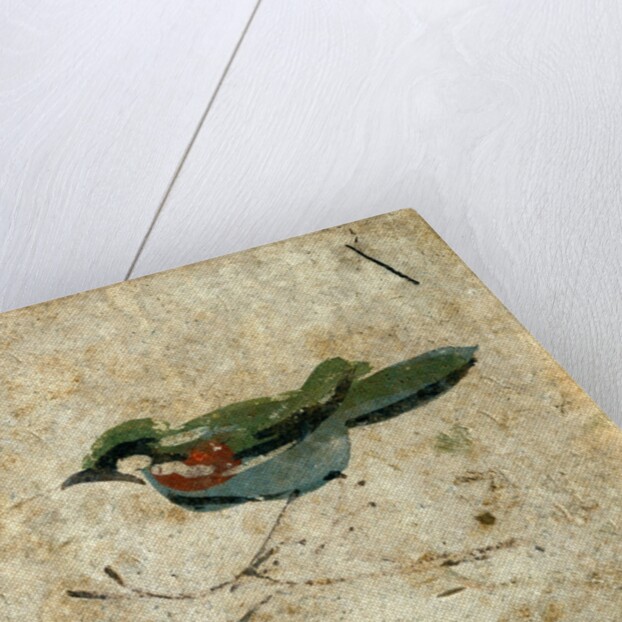 Bird on a branch. Pozzuoli, Italy, 2nd century by Unknown