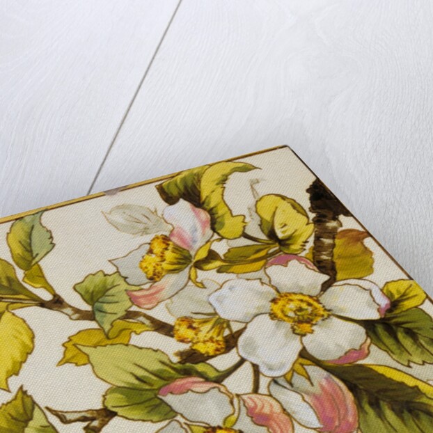 Wild Dog-Roses Tile by Doulton & Co.