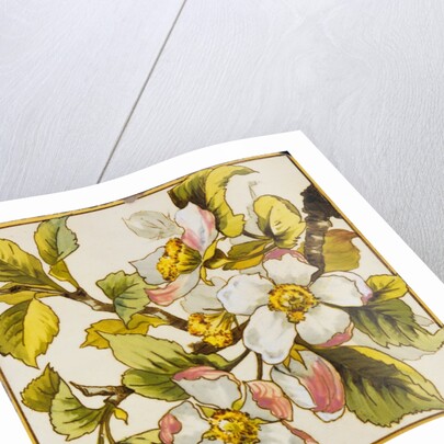 Wild Dog-Roses Tile by Doulton & Co.