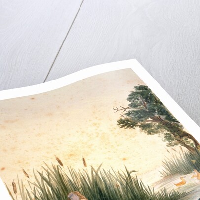 Collage by Kate E. Gough