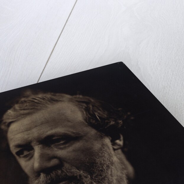 Robert Browning by Julia Margaret Cameron