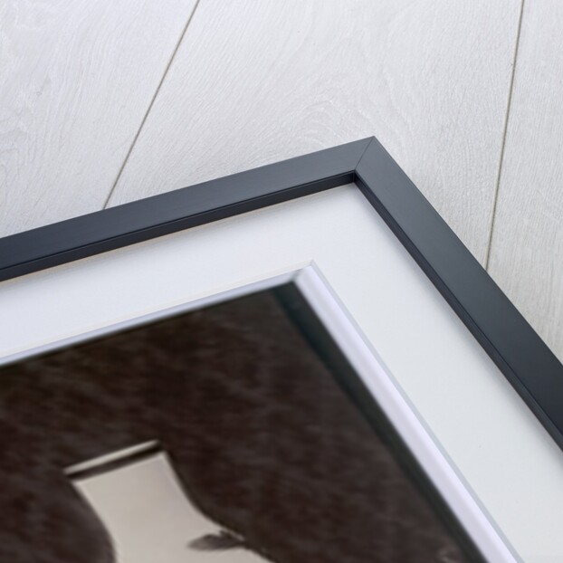 2 Bottles & glass by Charles Thurston Thompson