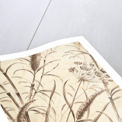 Printed textile. England, 18th-19th century by Unknown