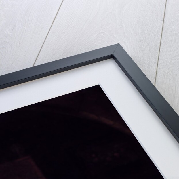 A Lady at her toilet by Caspar Netscher