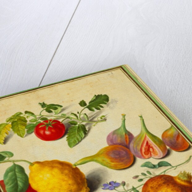 Tomato and Lemon, Flies and Pomegranates, with Borage and Beetle by Johann Jakob Walther