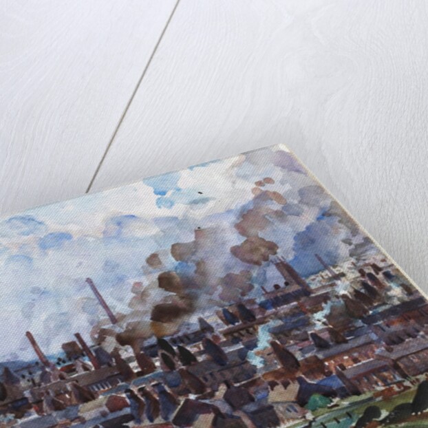 The Potteries by Alan Ian Ronald
