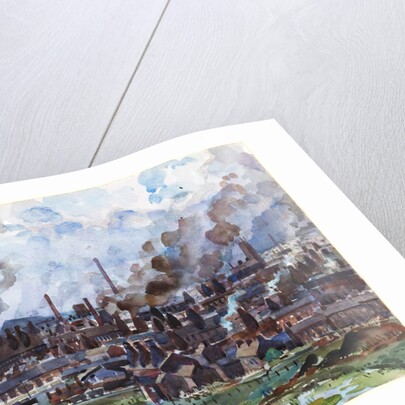 The Potteries by Alan Ian Ronald