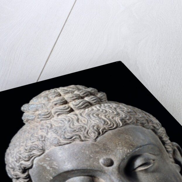 Head of Buddha. N.W. India 3rd-5th century by Unknown