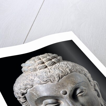 Head of Buddha. N.W. India 3rd-5th century by Unknown