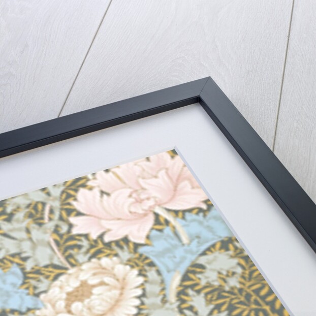 Chrysanthemum wallpaper by William Morris