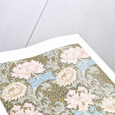 Chrysanthemum wallpaper by William Morris