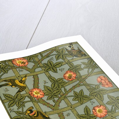 Trellis wallpaper by William Morris