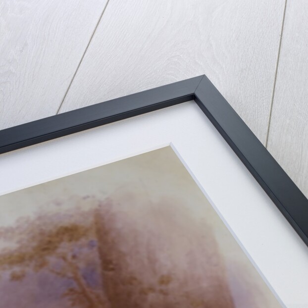 Alfred Fuller with a Hobby Horse. England, 19th century by Unknown