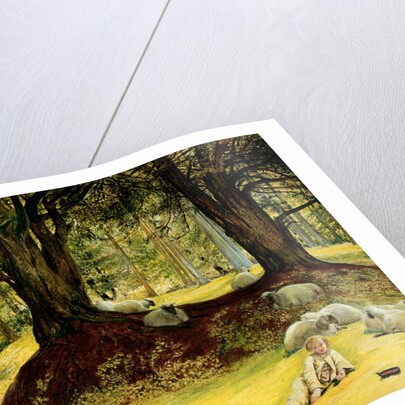 Parkhurst Woods, Abinger, Surrey by Richard Redgrave