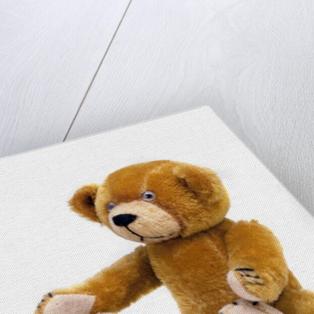 Teddy Bear by Unknown