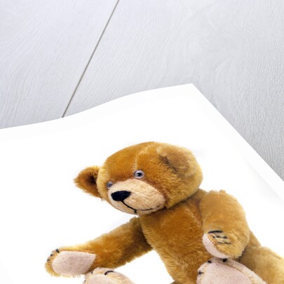 Teddy Bear by Unknown