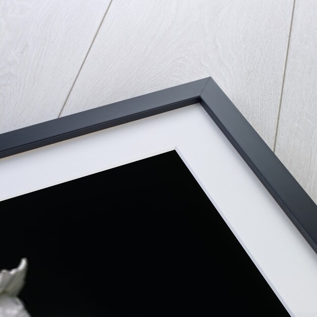 A Chinese man scolding a boy by Agostino Carlini