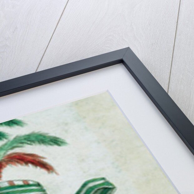 Fashion plate by Unknown