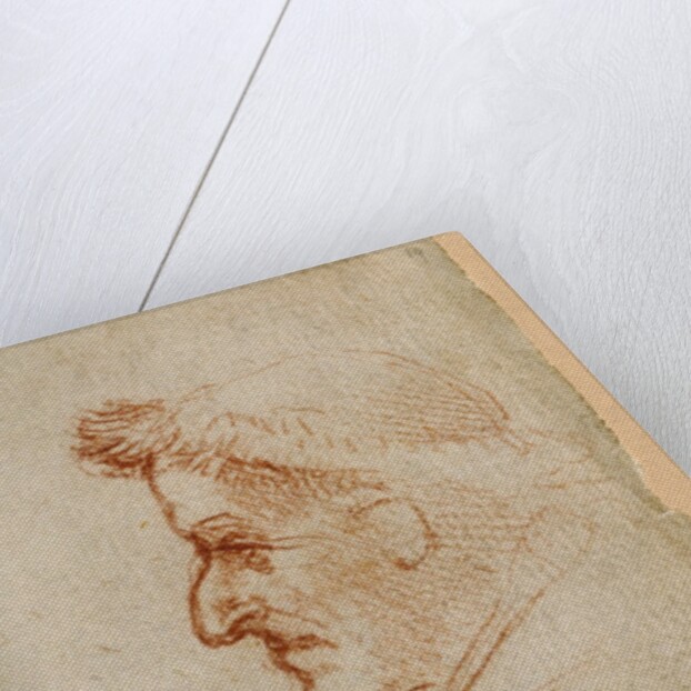 Forster Codex II by Leonardo da Vinci