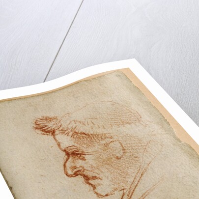 Forster Codex II by Leonardo da Vinci