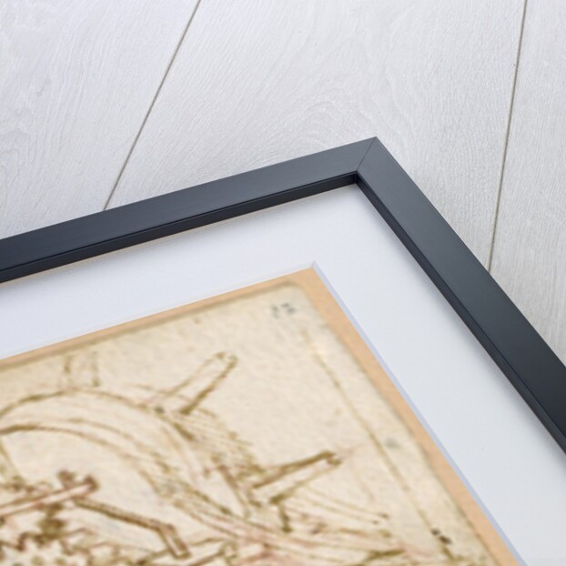 Forster Codex II by Leonardo da Vinci