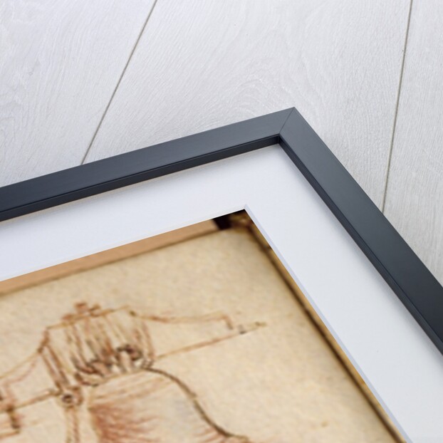 Forster Codex II by Leonardo da Vinci