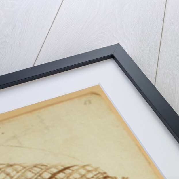 Forster Codex I by Leonardo da Vinci