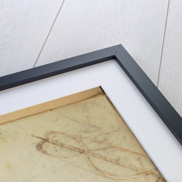 Forster Codex I by Leonardo da Vinci