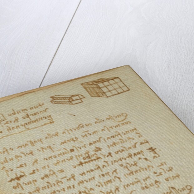 Forster Codex I by Leonardo da Vinci