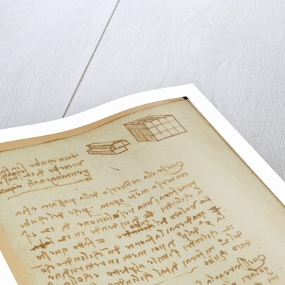 Forster Codex I by Leonardo da Vinci