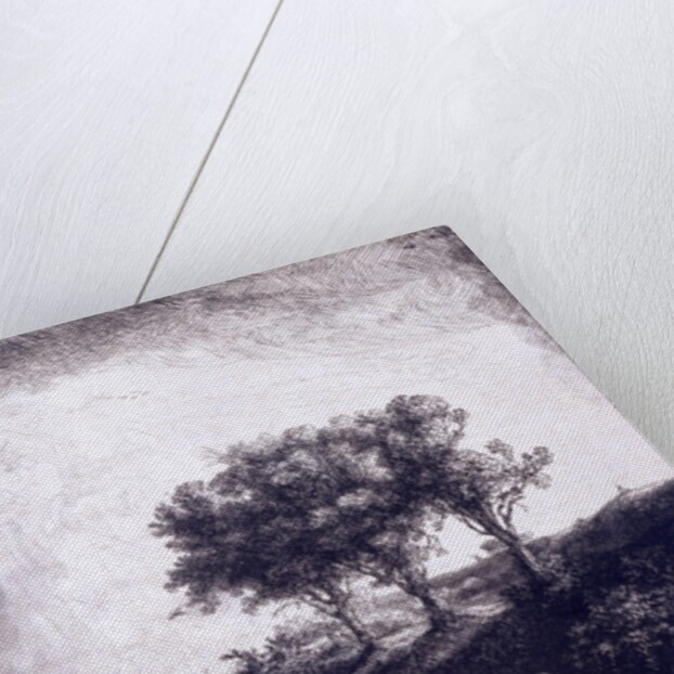Three trees by Rembrandt van Rijn