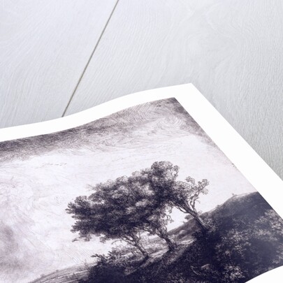 Three trees by Rembrandt van Rijn
