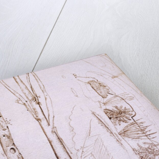Sketches of trees and a hilly landscape by Samuel Palmer