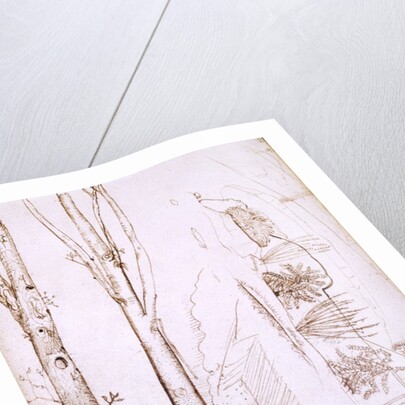Sketches of trees and a hilly landscape by Samuel Palmer