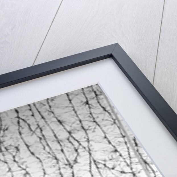 Sarah Vaughan, American jazz singer by Harry Hammond