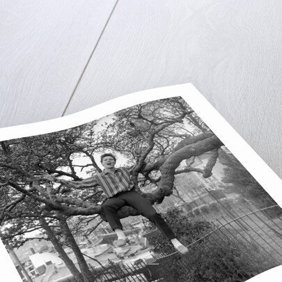 Cliff Richard singing on a tree by Harry Hammond