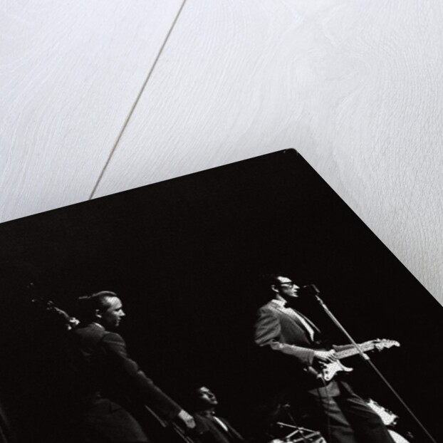 Buddy Holly by Harry Hammond