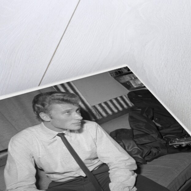 Johnny Hallyday by Harry Hammond