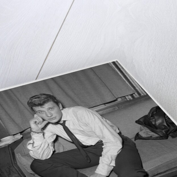 Johnny Hallyday by Harry Hammond