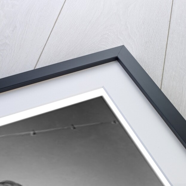 Billy Fury by Harry Hammond