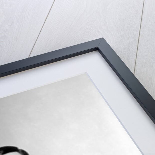 Alan Freeman by Harry Hammond