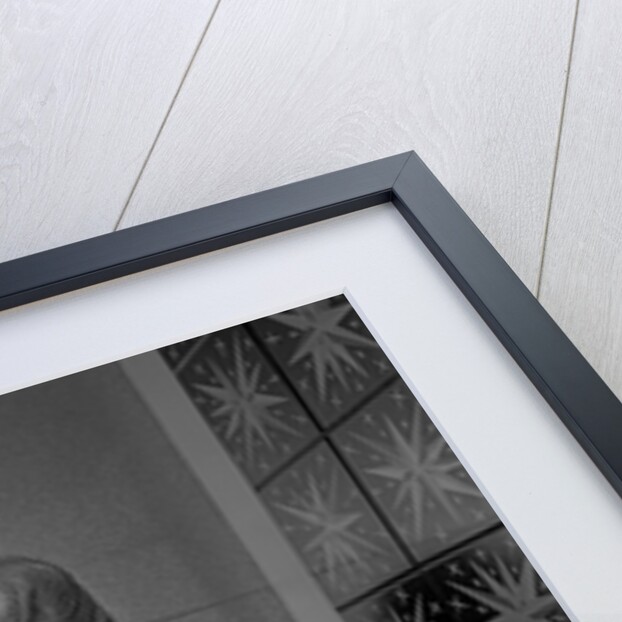 Shane Fenton, aka Alvin Stardust by Harry Hammond