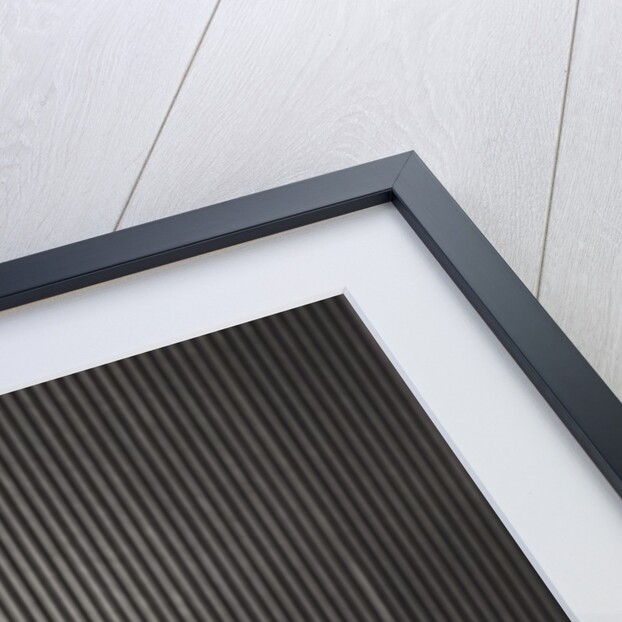 Adam Faith at home in Esher by Harry Hammond