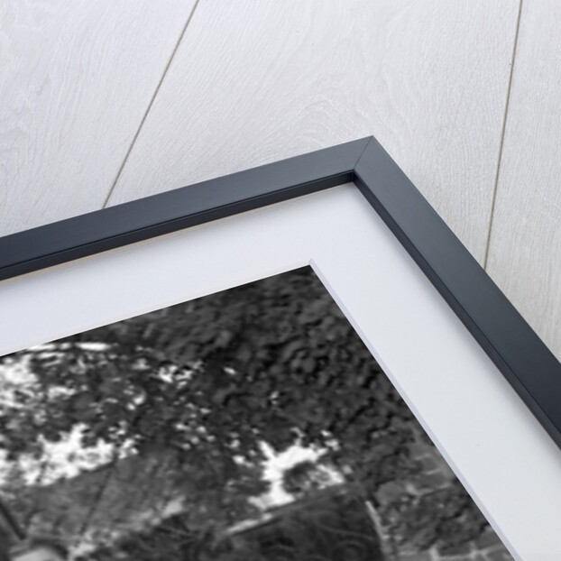 Adam Faith by Harry Hammond