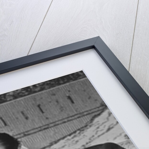 Bobby Darin by Harry Hammond